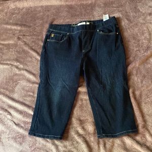 Belle by Kim Gravel Size 14 Jean capri